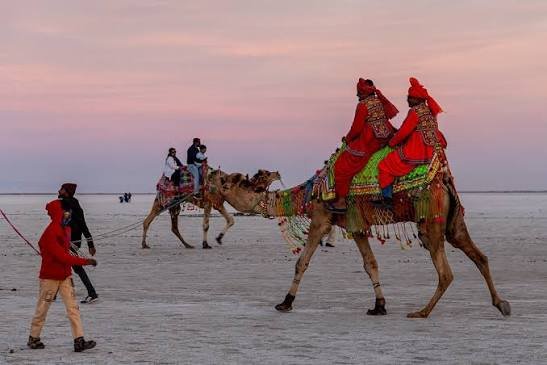 Rann of Kutch
